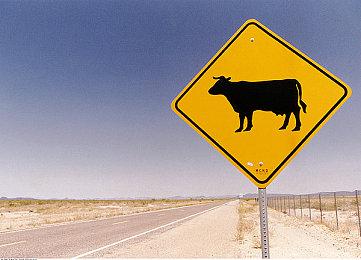 《赛博朋克2077》资料片“往日之影”售价或是30美元